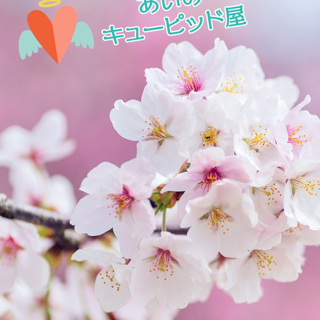 今日はカウンセリングのオフ会に参加してきました📚✨！普段はオ